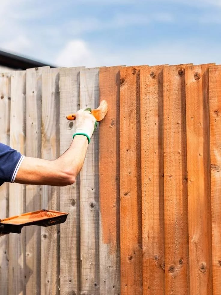 Bay Softwash Exterior Cleaning Service