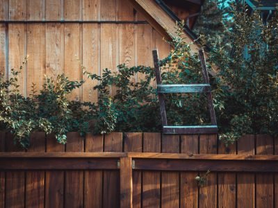 pexels-colin-fearing-286674282-13314964